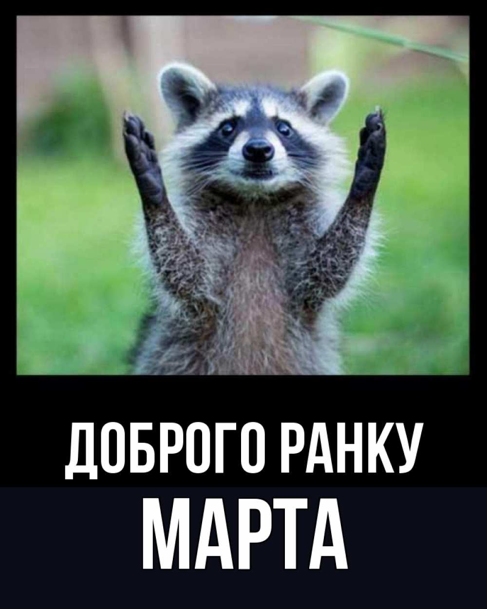 Открытка на каждый день з підписом, Марта Доброго ранку хорошее настроение утречком Прикольна листівка з побажанням онлайн скачати безкоштовно 