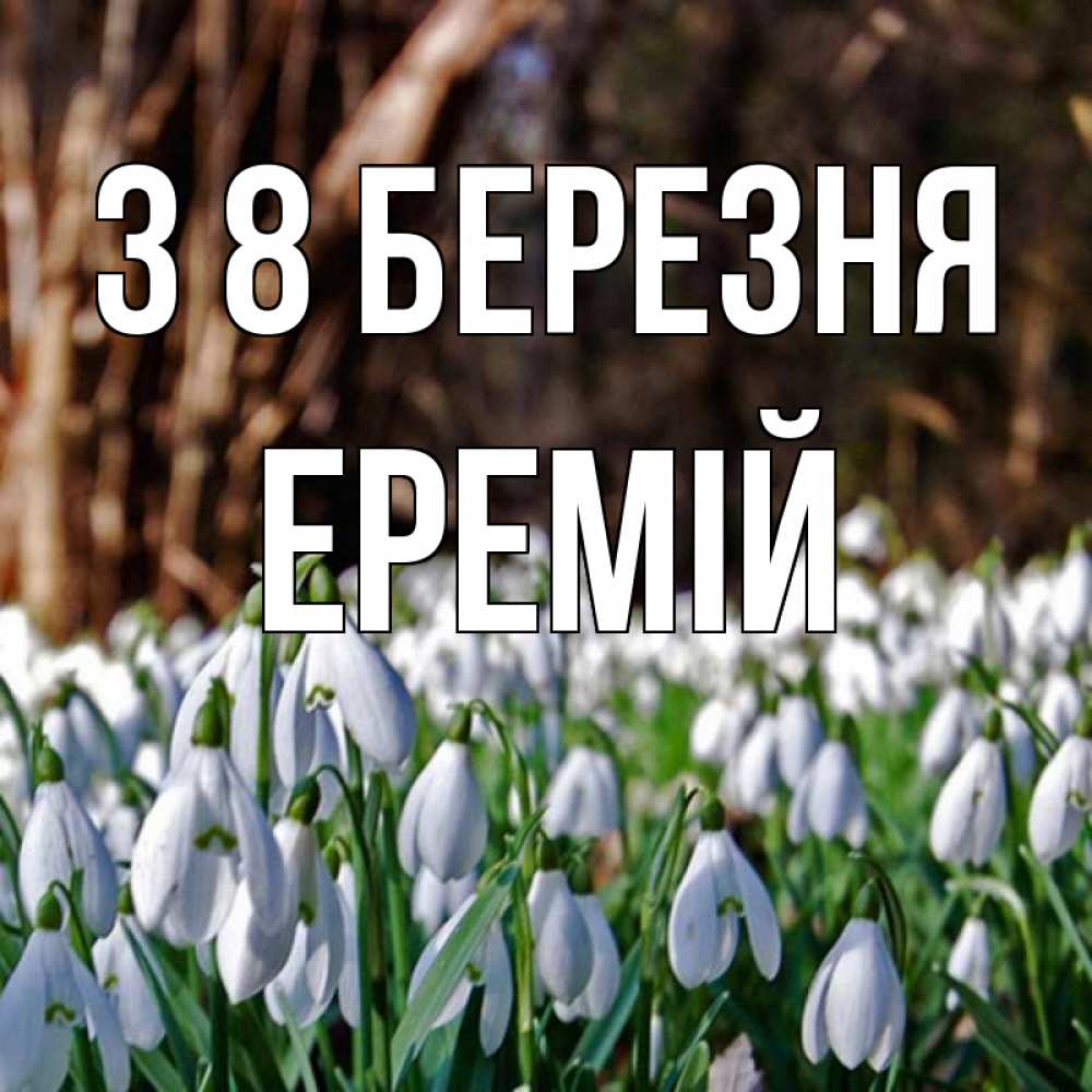 Открытка на каждый день з підписом, Еремій З 8 БЕРЕЗНЯ с подснежниками 1 Прикольна листівка з побажанням онлайн скачати безкоштовно 