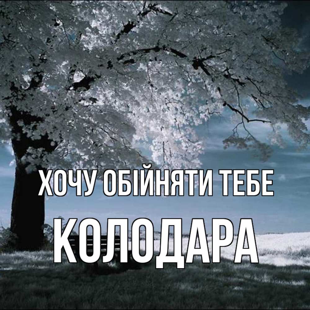 Открытка на каждый день з підписом, Колодара Хочу обійняти тебе дерево Прикольна листівка з побажанням онлайн скачати безкоштовно 