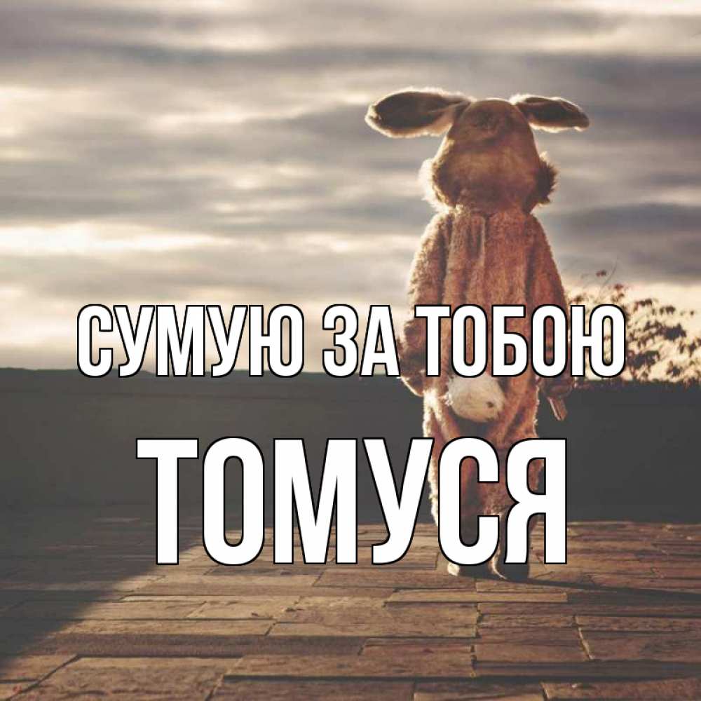 Открытка на каждый день з підписом, Томуся Сумую за тобою даже в костюме зайца Прикольна листівка з побажанням онлайн скачати безкоштовно 