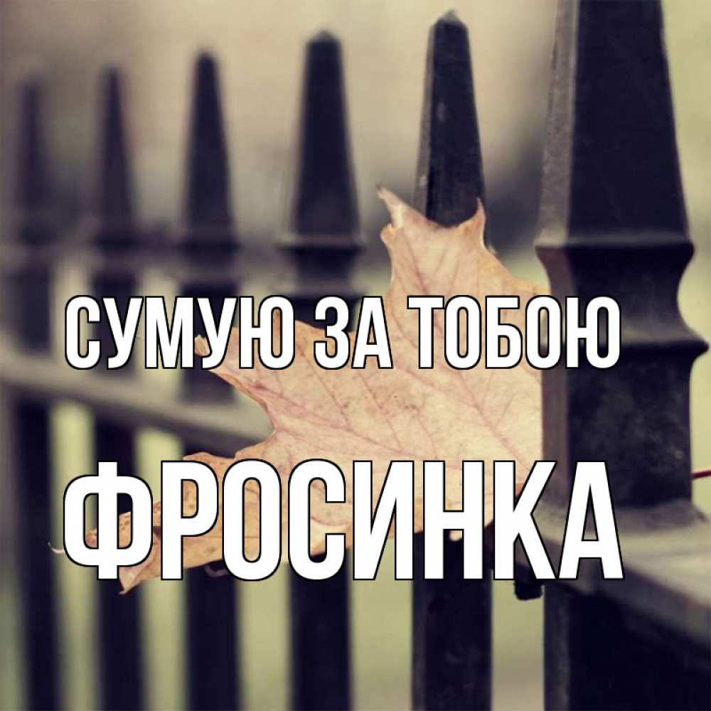 Открытка на каждый день з підписом, Фросинка Сумую за тобою очень скучно Прикольна листівка з побажанням онлайн скачати безкоштовно 