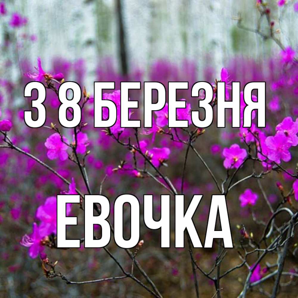 Открытка на каждый день з підписом, Евочка З 8 БЕРЕЗНЯ дикие цветы Прикольна листівка з побажанням онлайн скачати безкоштовно 