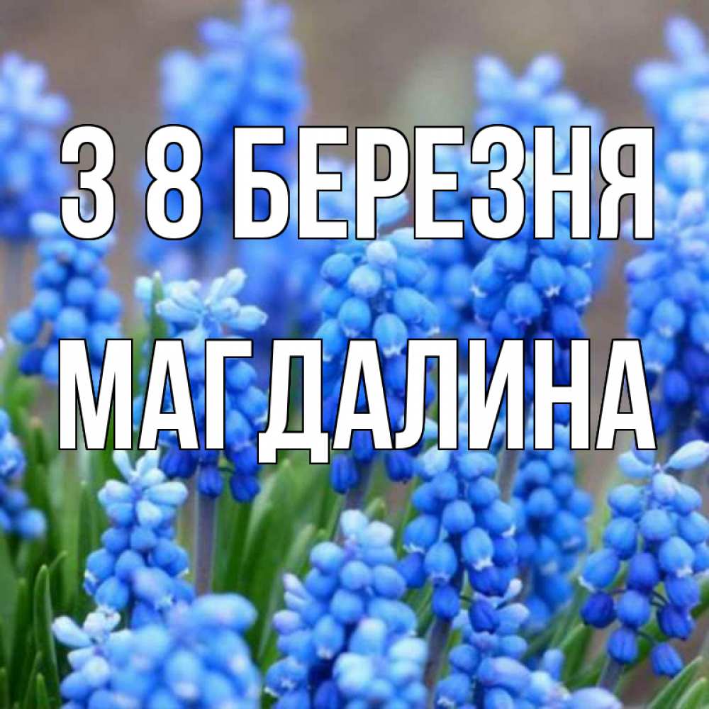 Открытка на каждый день з підписом, Магдалина З 8 БЕРЕЗНЯ Поздравительная открытка для женщин с цветами на праздничную дату Прикольна листівка з побажанням онлайн скачати безкоштовно 