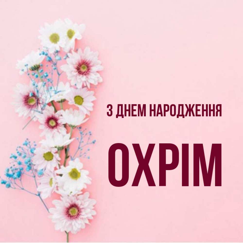 Открытка на каждый день з підписом, Охрім З Днем народження Родная моя с днем рождения тебя картинка с цветами белыми и голубыми Прикольна листівка з побажанням онлайн скачати безкоштовно 