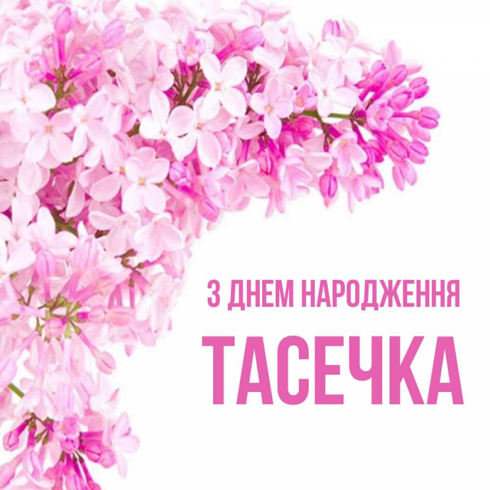 Открытка на каждый день з підписом, Тасечка З Днем народження Сирень на белом фоне Прикольна листівка з побажанням онлайн скачати безкоштовно 