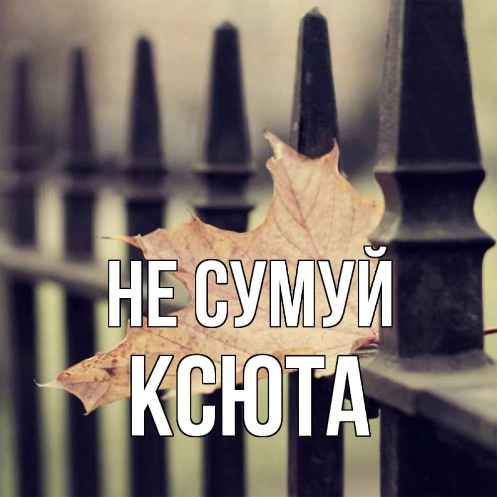 Открытка на каждый день з підписом, Ксюта Не сумуй лист клена Прикольна листівка з побажанням онлайн скачати безкоштовно 