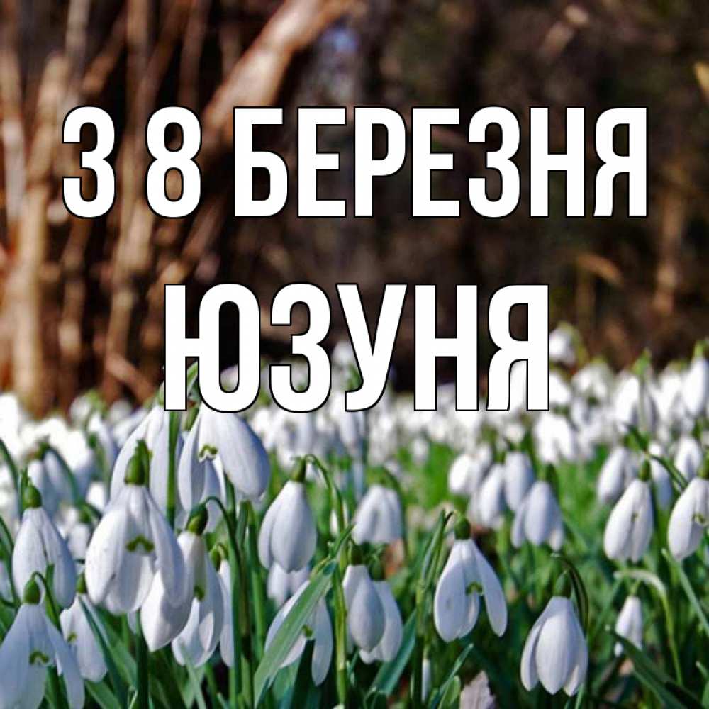 Открытка на каждый день з підписом, Юзуня З 8 БЕРЕЗНЯ с подснежниками 1 Прикольна листівка з побажанням онлайн скачати безкоштовно 
