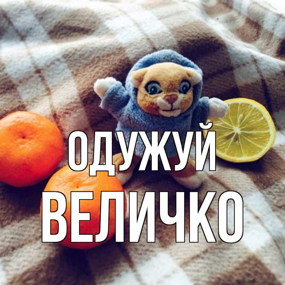 Открытка на каждый день з підписом, Величко Одужуй вот тебе апельсинка и лимон Прикольна листівка з побажанням онлайн скачати безкоштовно 
