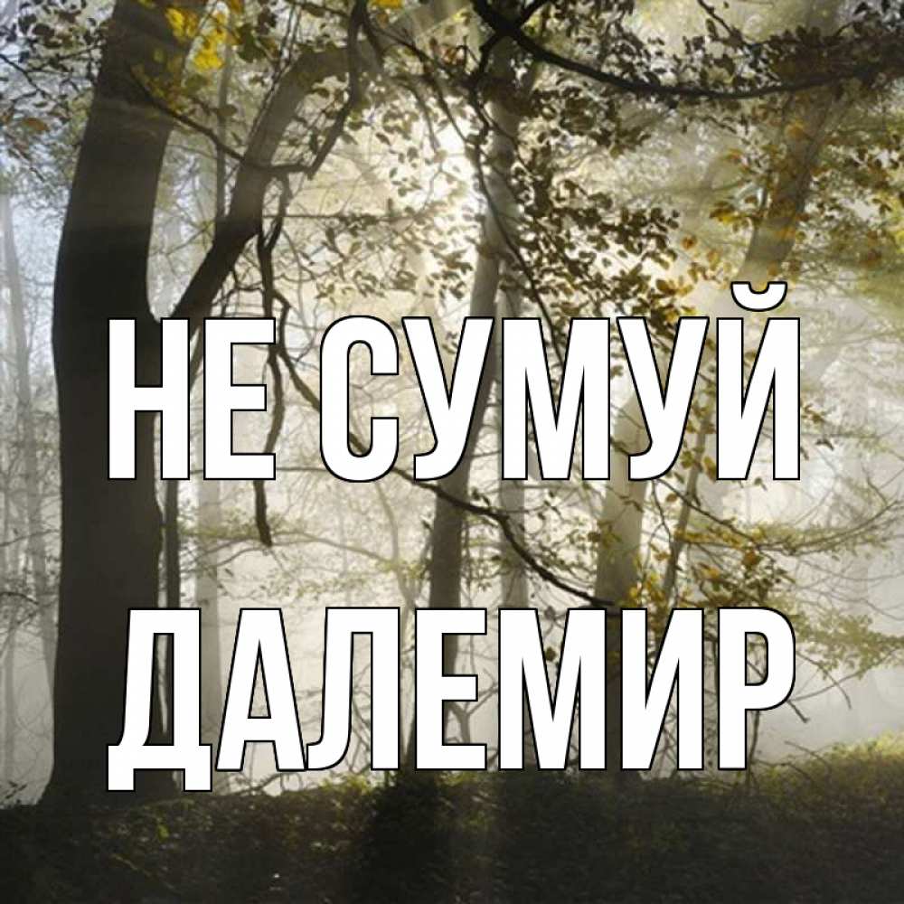 Открытка на каждый день з підписом, Далемир Не сумуй лес и свет Прикольна листівка з побажанням онлайн скачати безкоштовно 