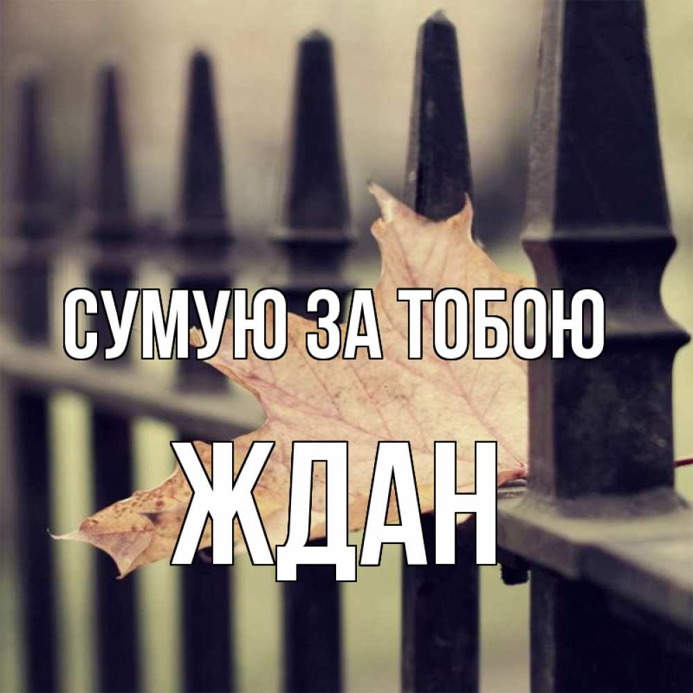 Открытка на каждый день з підписом, Ждан Сумую за тобою очень скучно Прикольна листівка з побажанням онлайн скачати безкоштовно 
