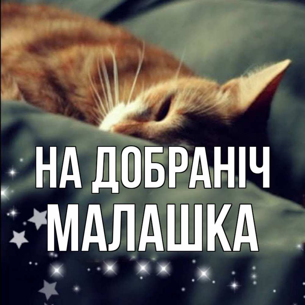 Открытка на каждый день з підписом, Малашка На добраніч кроватка Прикольна листівка з побажанням онлайн скачати безкоштовно 
