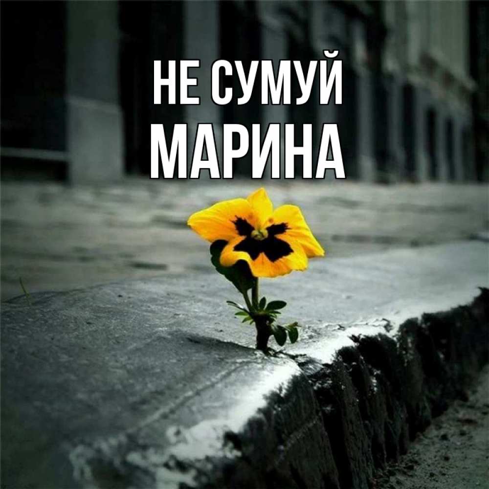 Открытка на каждый день з підписом, Марина Не сумуй не сдавайся Прикольна листівка з побажанням онлайн скачати безкоштовно 
