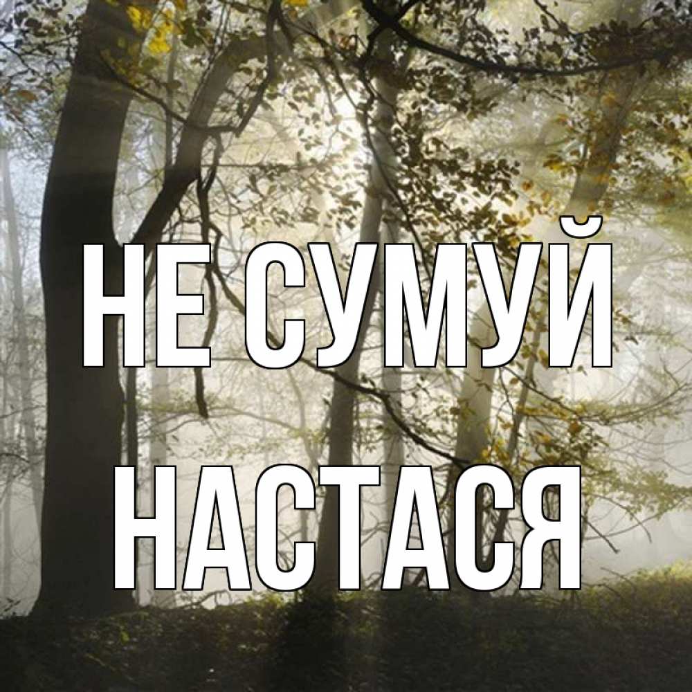 Открытка на каждый день з підписом, Настася Не сумуй лес и свет Прикольна листівка з побажанням онлайн скачати безкоштовно 