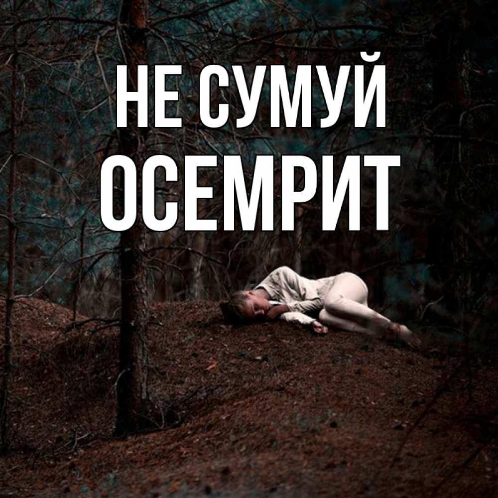 Открытка на каждый день з підписом, Осемрит Не сумуй лес Прикольна листівка з побажанням онлайн скачати безкоштовно 