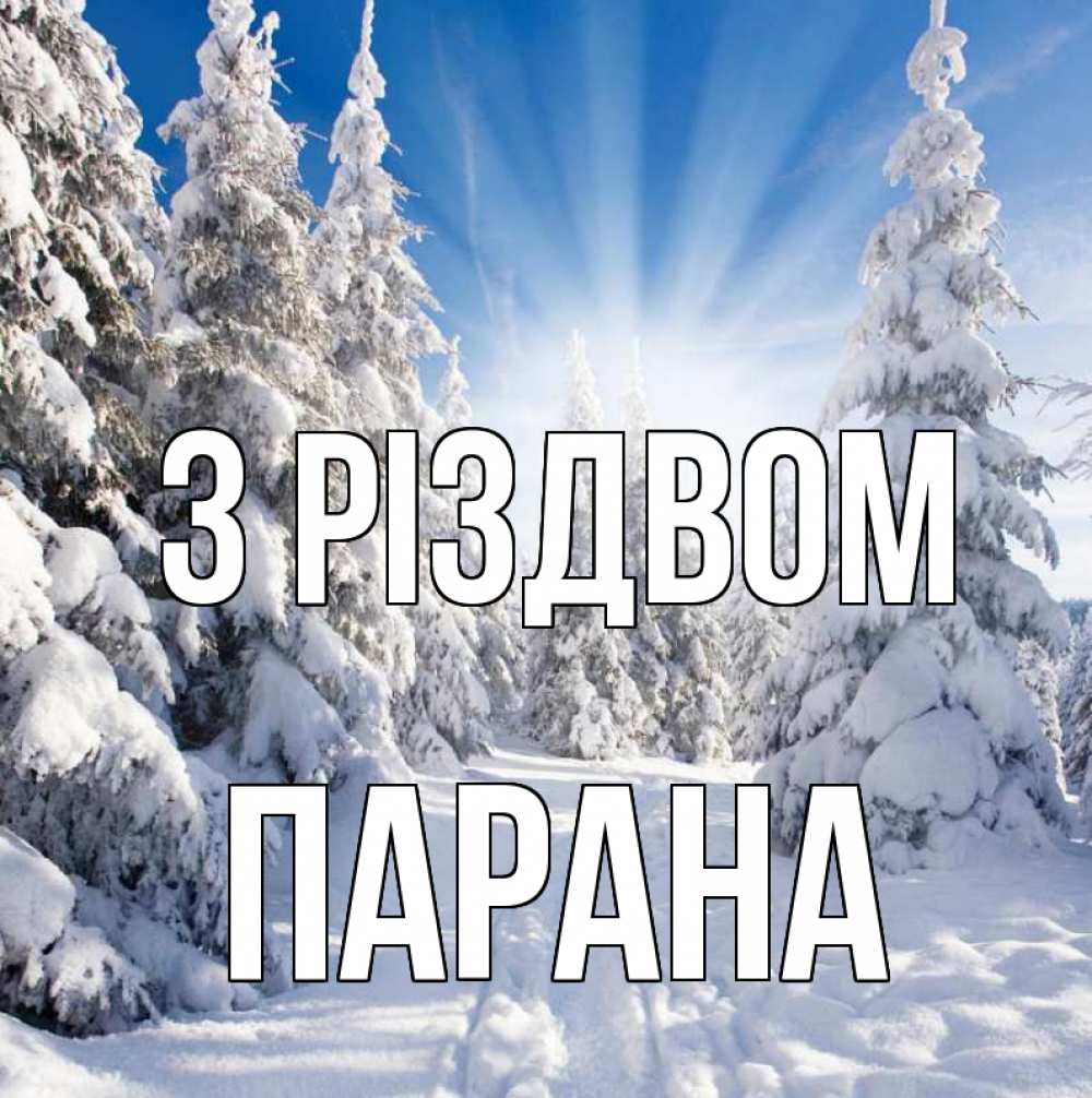 Открытка на каждый день з підписом, Парана З Різдвом зима, лес Прикольна листівка з побажанням онлайн скачати безкоштовно 
