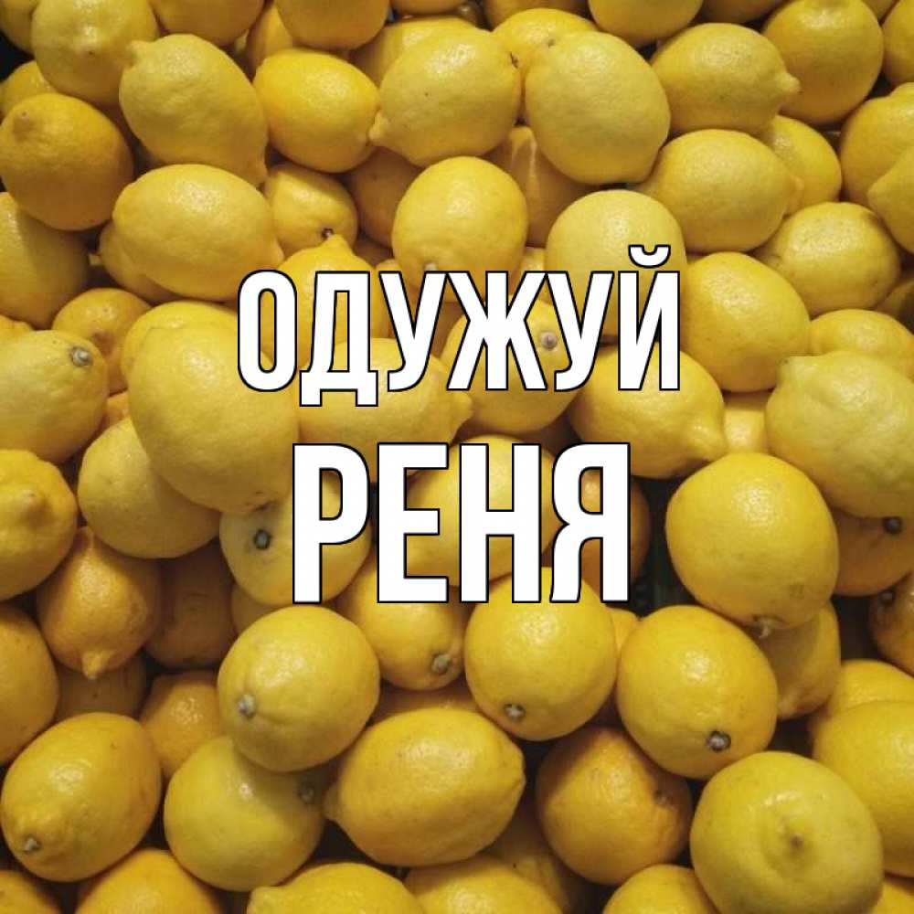 Открытка на каждый день з підписом, Реня Одужуй это точно поможет Прикольна листівка з побажанням онлайн скачати безкоштовно 