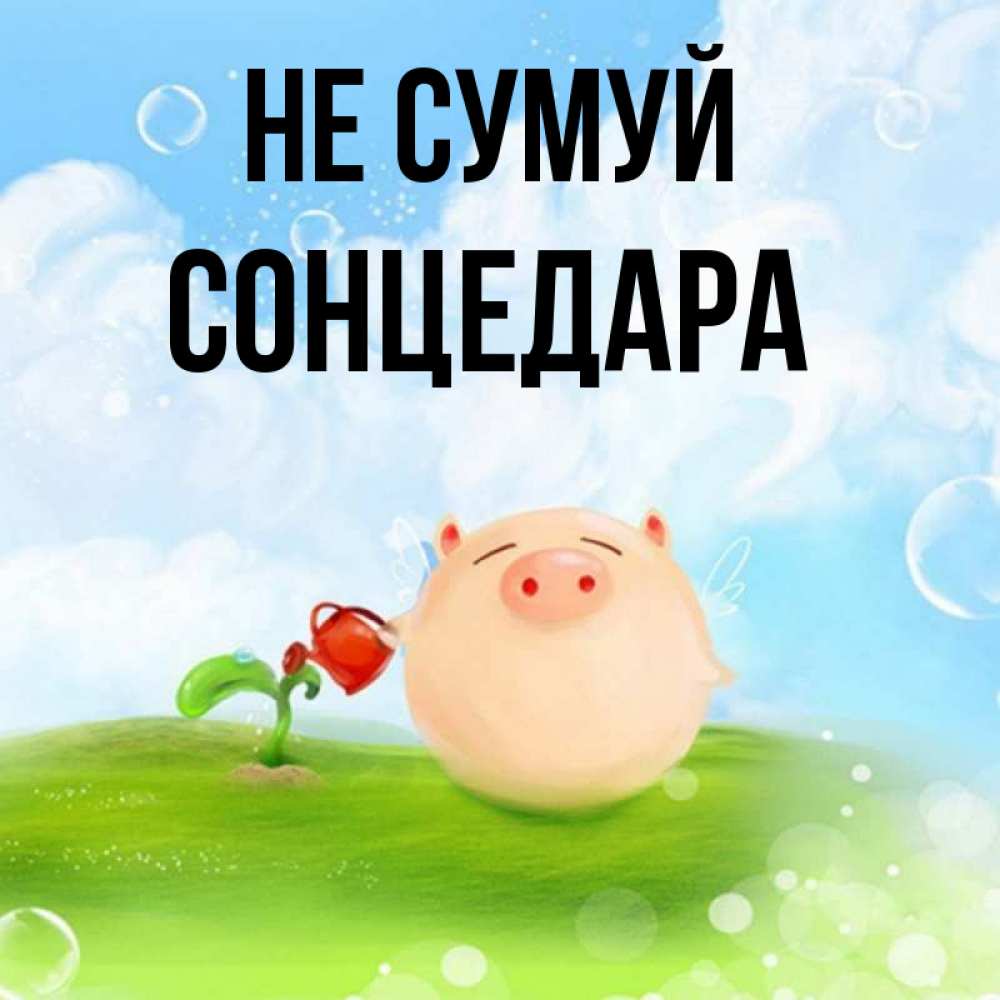 Открытка на каждый день з підписом, Сонцедара Не сумуй поливает цветок порося Прикольна листівка з побажанням онлайн скачати безкоштовно 