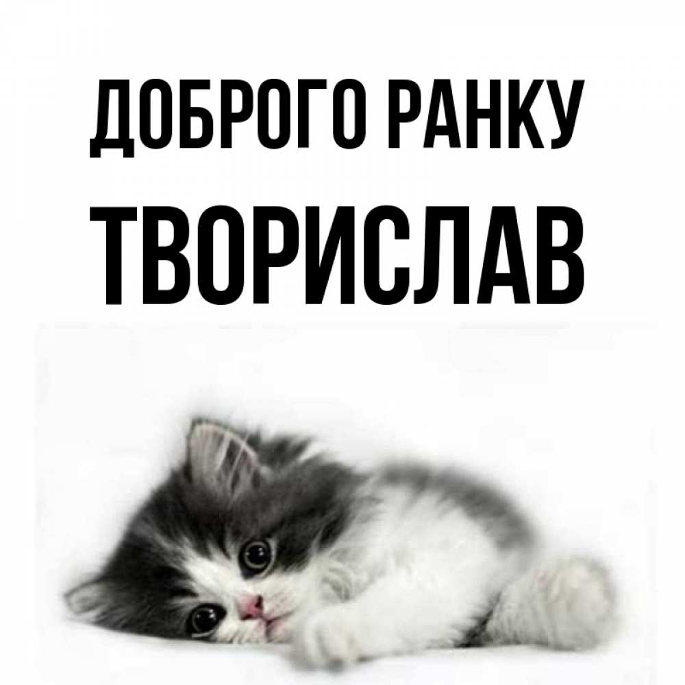 Открытка на каждый день з підписом, Творислав Доброго ранку кот лапки Прикольна листівка з побажанням онлайн скачати безкоштовно 