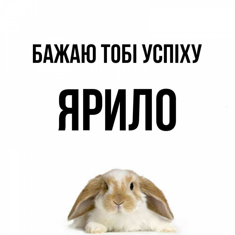 Открытка на каждый день з підписом, Ярило Бажаю тобі успіху открытки с произвольным текстом который можно вставить в открытку и создать ее самостоятельно бесплатно онлайн Прикольна листівка з побажанням онлайн скачати безкоштовно 