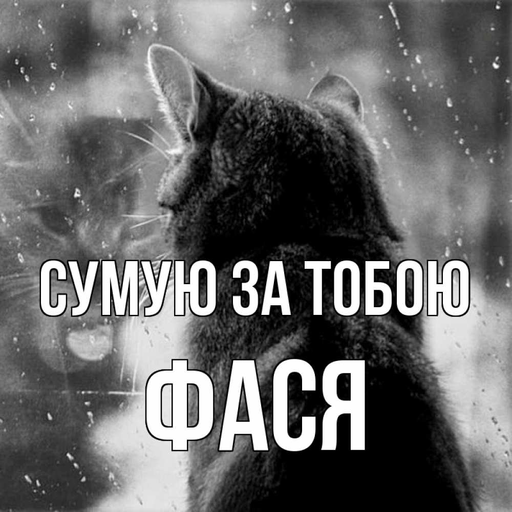 Открытка на каждый день з підписом, Фася Сумую за тобою скорее ко мне приходи 1 Прикольна листівка з побажанням онлайн скачати безкоштовно 