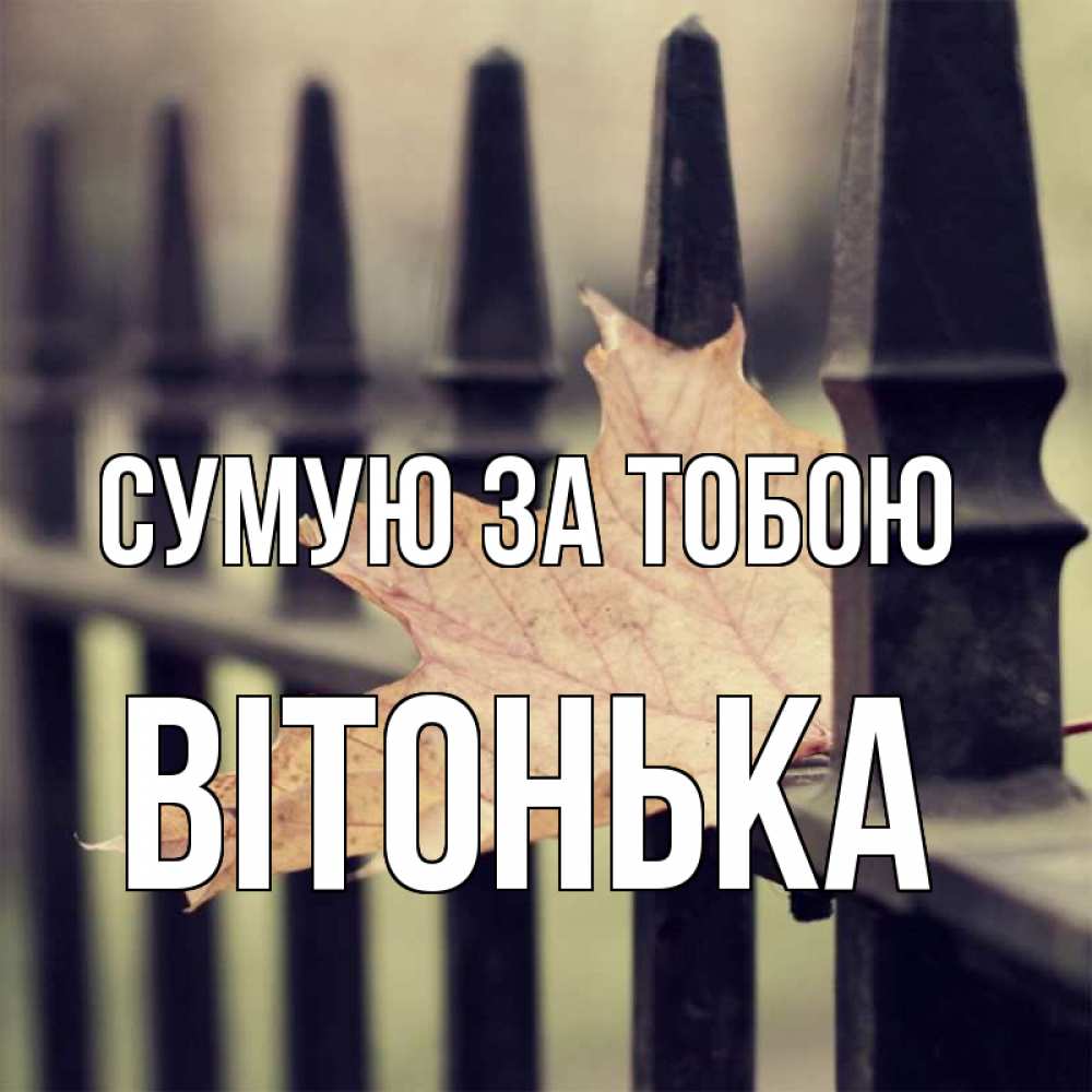 Открытка на каждый день з підписом, Вітонька Сумую за тобою очень скучно Прикольна листівка з побажанням онлайн скачати безкоштовно 