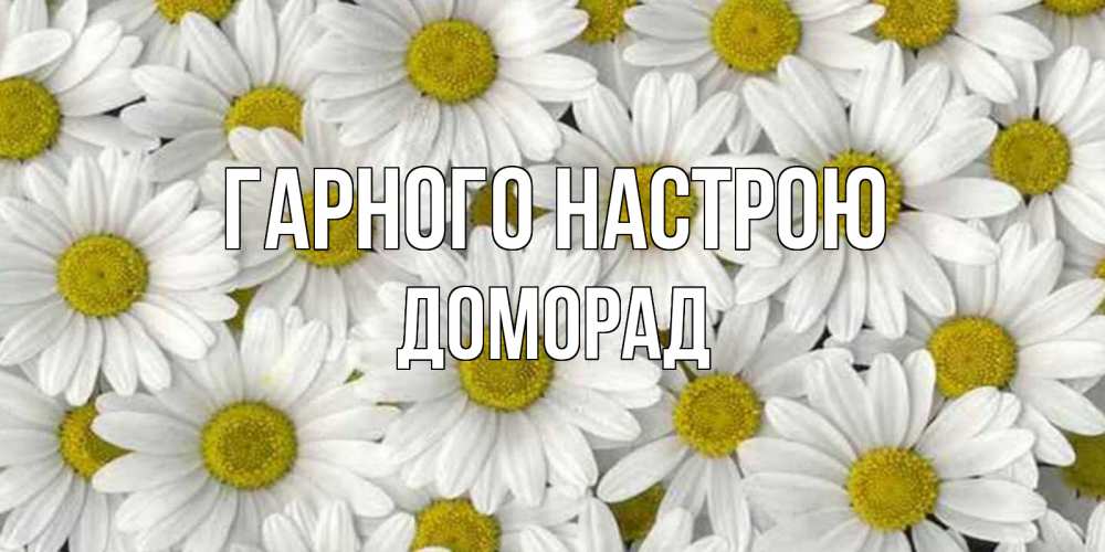 Открытка на каждый день з підписом, Доморад Гарного настрою поляна ромашек Прикольна листівка з побажанням онлайн скачати безкоштовно 