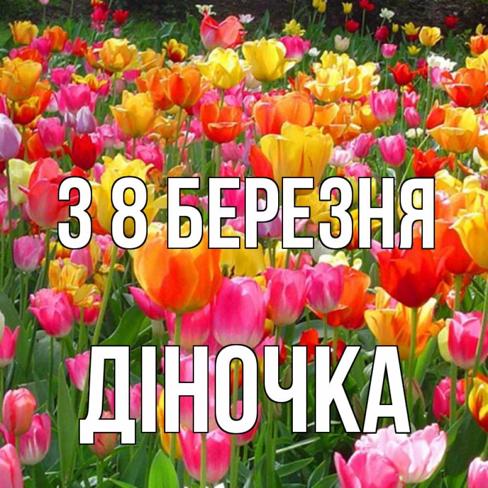 Открытка на каждый день з підписом, Діночка З 8 БЕРЕЗНЯ на международный женский день Прикольна листівка з побажанням онлайн скачати безкоштовно 