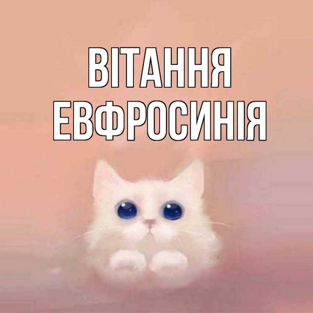 Открытка на каждый день з підписом, Евфросинія Вітання котик белый в полете Прикольна листівка з побажанням онлайн скачати безкоштовно 