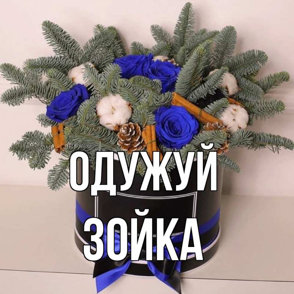 Открытка на каждый день з підписом, Зойка Одужуй короче кто то загрузил эти шишки Прикольна листівка з побажанням онлайн скачати безкоштовно 