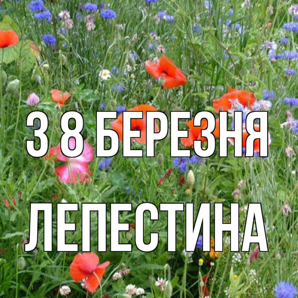 Открытка на каждый день з підписом, Лепестина З 8 БЕРЕЗНЯ международный женский день 4 Прикольна листівка з побажанням онлайн скачати безкоштовно 