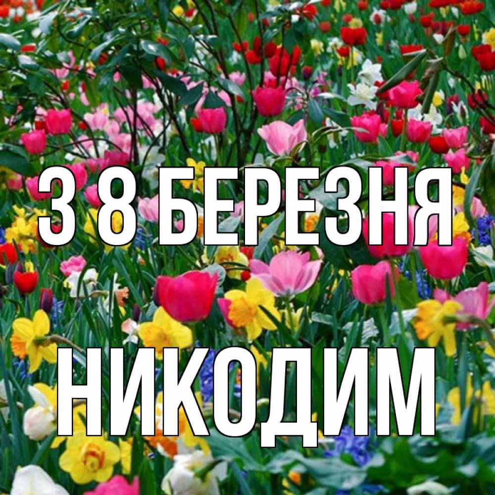 Открытка на каждый день з підписом, Никодим З 8 БЕРЕЗНЯ с международным женским днем поздравления для женщины Прикольна листівка з побажанням онлайн скачати безкоштовно 