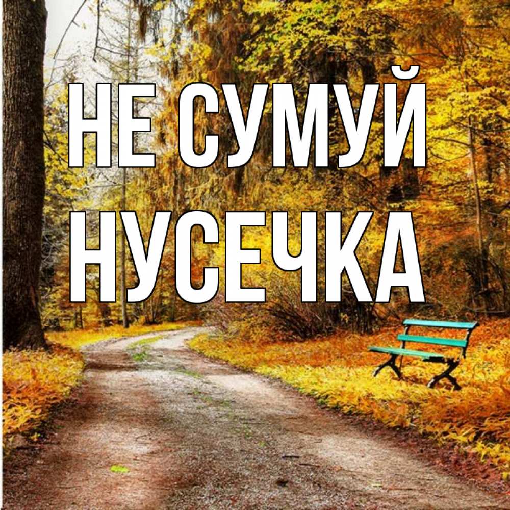 Открытка на каждый день з підписом, Нусечка Не сумуй зеленая лавочка Прикольна листівка з побажанням онлайн скачати безкоштовно 