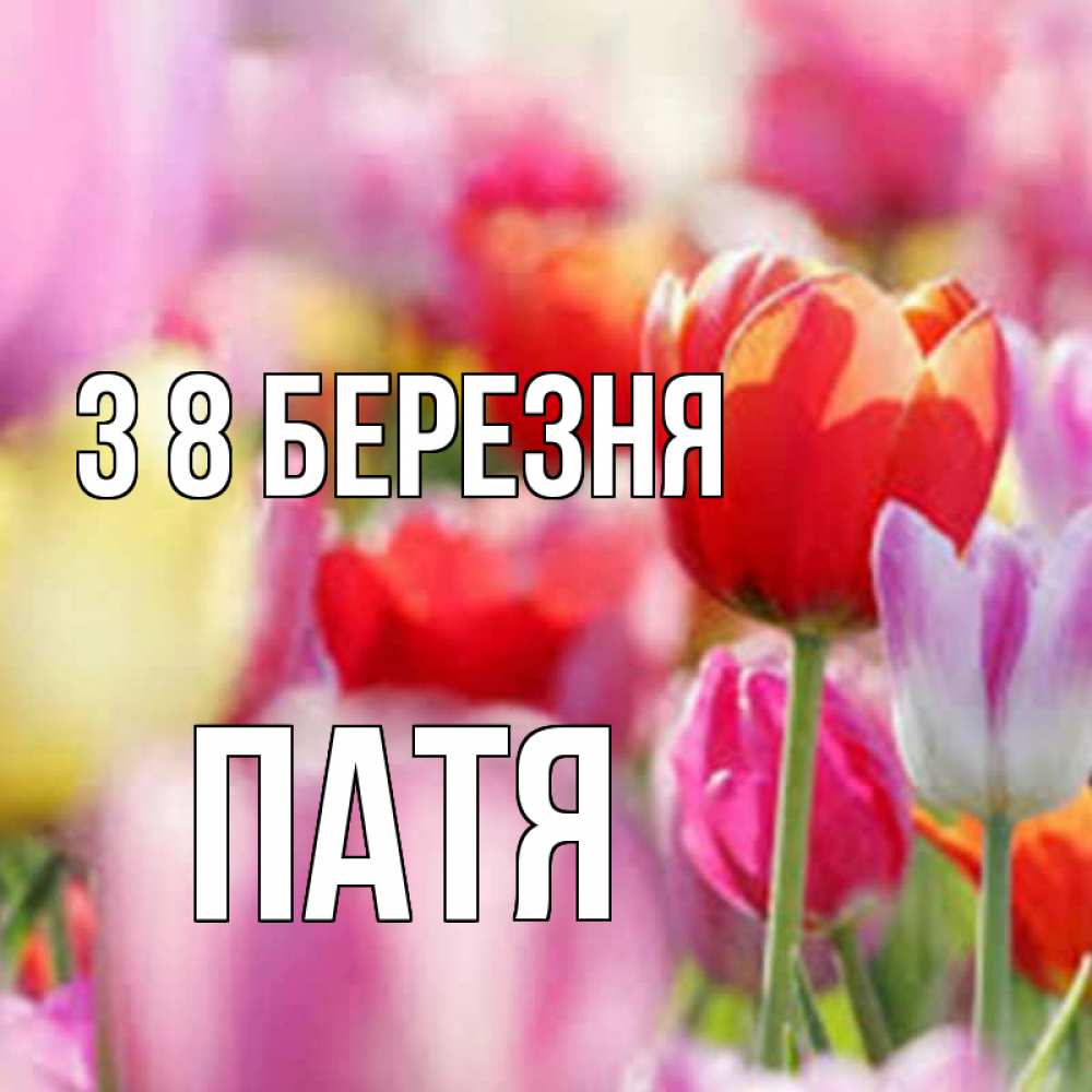 Открытка на каждый день з підписом, Патя З 8 БЕРЕЗНЯ на международный женский день 2 Прикольна листівка з побажанням онлайн скачати безкоштовно 