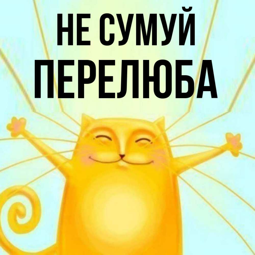 Открытка на каждый день з підписом, Перелюба Не сумуй обнимашки усатые Прикольна листівка з побажанням онлайн скачати безкоштовно 