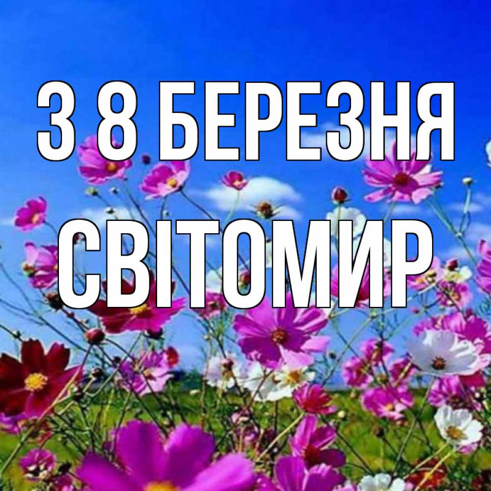 Открытка на каждый день з підписом, Світомир З 8 БЕРЕЗНЯ цветы Прикольна листівка з побажанням онлайн скачати безкоштовно 