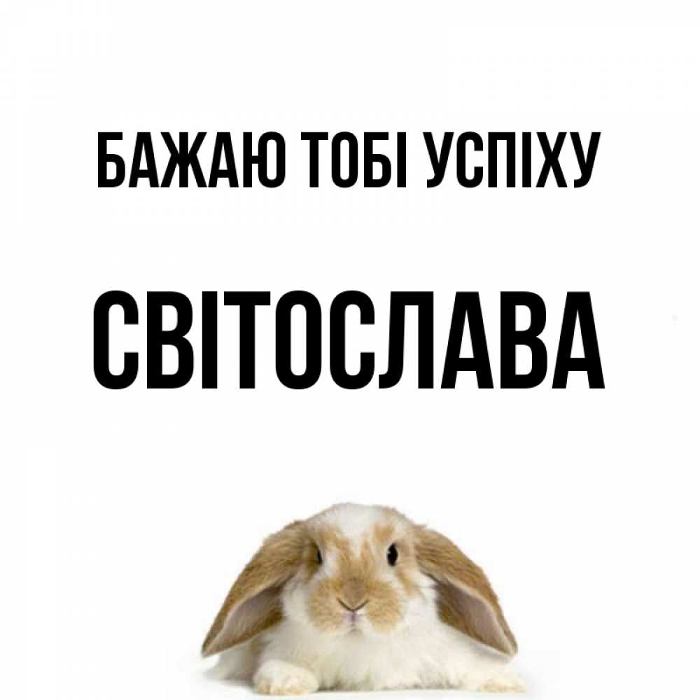 Открытка на каждый день з підписом, Світослава Бажаю тобі успіху открытки с произвольным текстом который можно вставить в открытку и создать ее самостоятельно бесплатно онлайн Прикольна листівка з побажанням онлайн скачати безкоштовно 