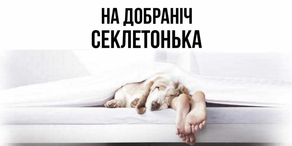 Открытка на каждый день з підписом, Секлетонька На добраніч кровать с собакой пожелание сладких снов и спокойной ночи Прикольна листівка з побажанням онлайн скачати безкоштовно 