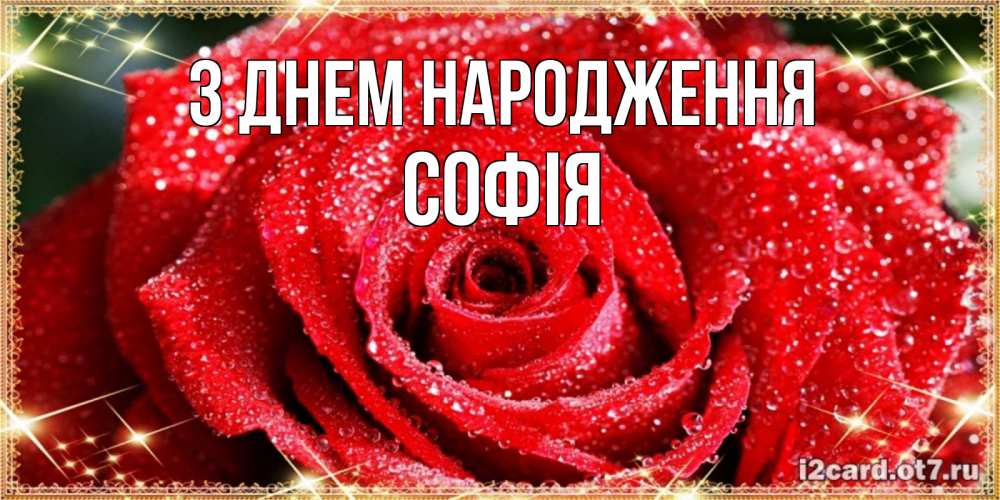 Открытка на каждый день з підписом, Софія З Днем народження роса и роза. открытка с красивой розой Прикольна листівка з побажанням онлайн скачати безкоштовно 