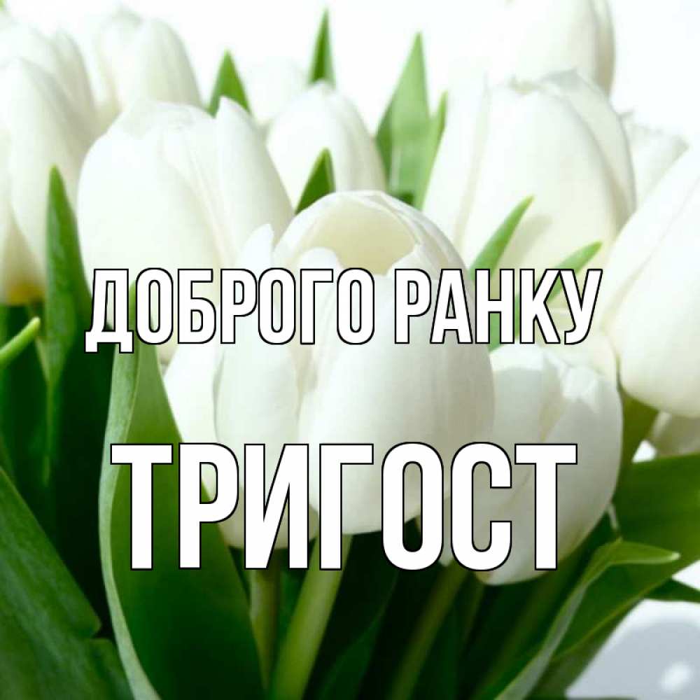 Открытка на каждый день з підписом, Тригост Доброго ранку открытки на каждый день по именам Прикольна листівка з побажанням онлайн скачати безкоштовно 
