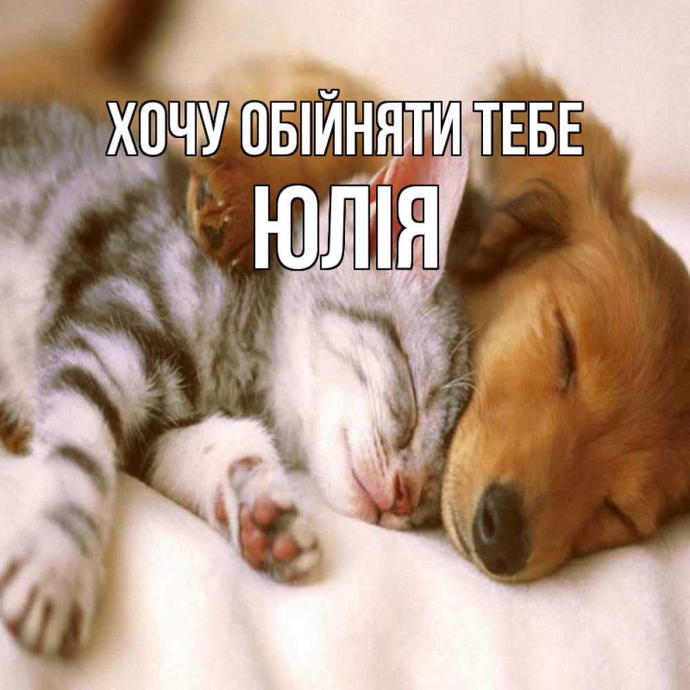 Открытка на каждый день з підписом, Юлія Хочу обійняти тебе пес и котенок Прикольна листівка з побажанням онлайн скачати безкоштовно 