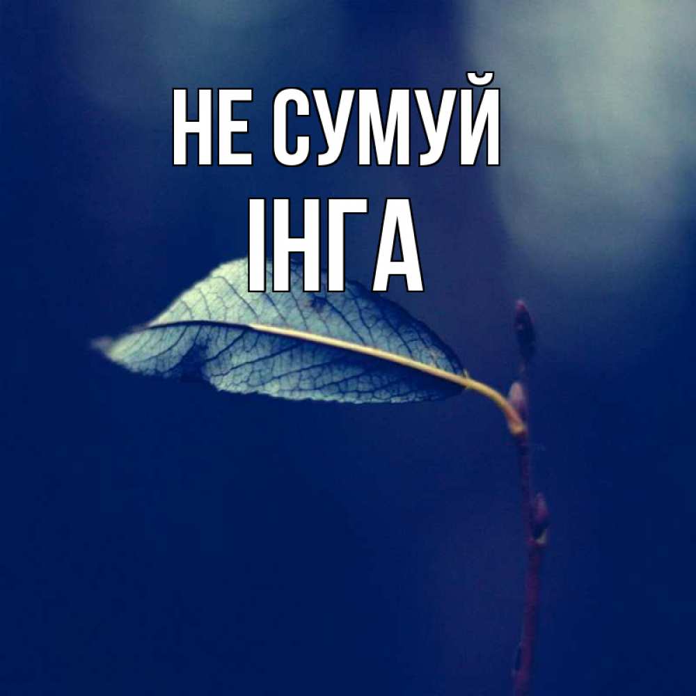 Открытка на каждый день з підписом, Інга Не сумуй растение Прикольна листівка з побажанням онлайн скачати безкоштовно 