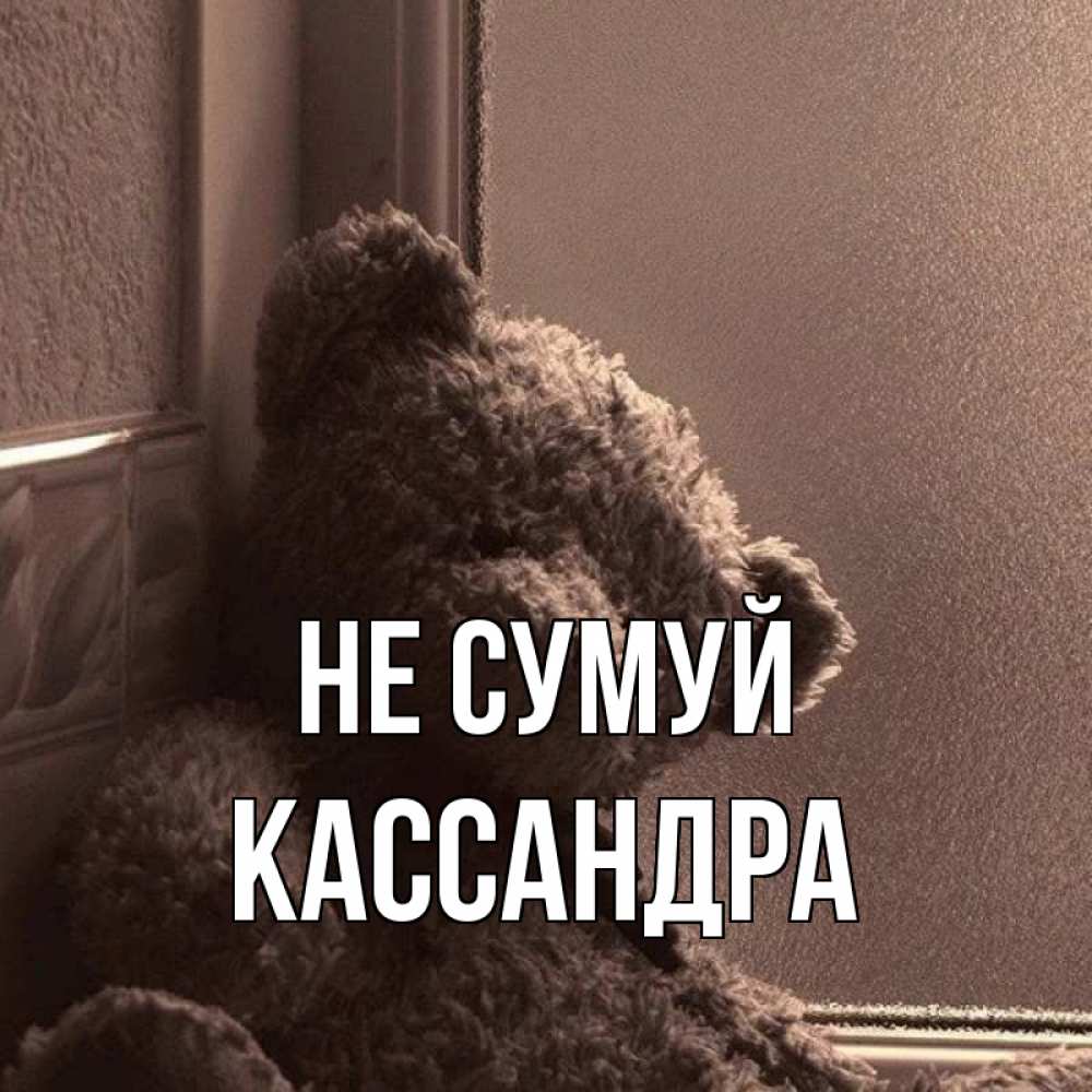 Открытка на каждый день з підписом, Кассандра Не сумуй стекол рефленое Прикольна листівка з побажанням онлайн скачати безкоштовно 