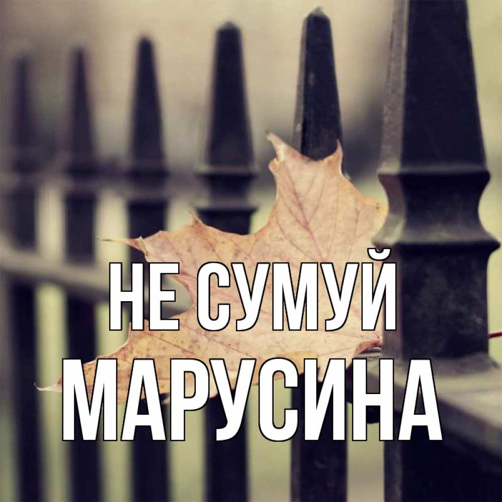 Открытка на каждый день з підписом, Марусина Не сумуй лист клена Прикольна листівка з побажанням онлайн скачати безкоштовно 