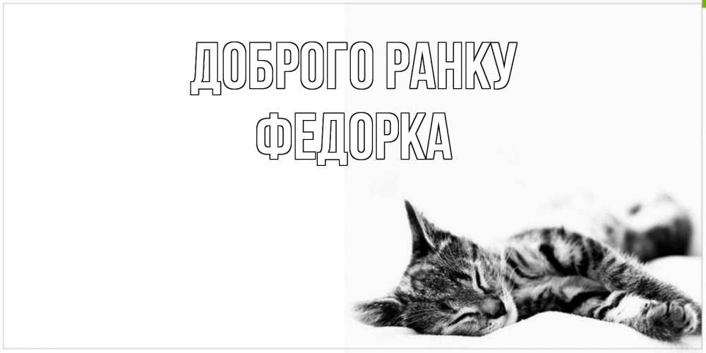 Открытка на каждый день з підписом, Федорка Доброго ранку котуся Прикольна листівка з побажанням онлайн скачати безкоштовно 