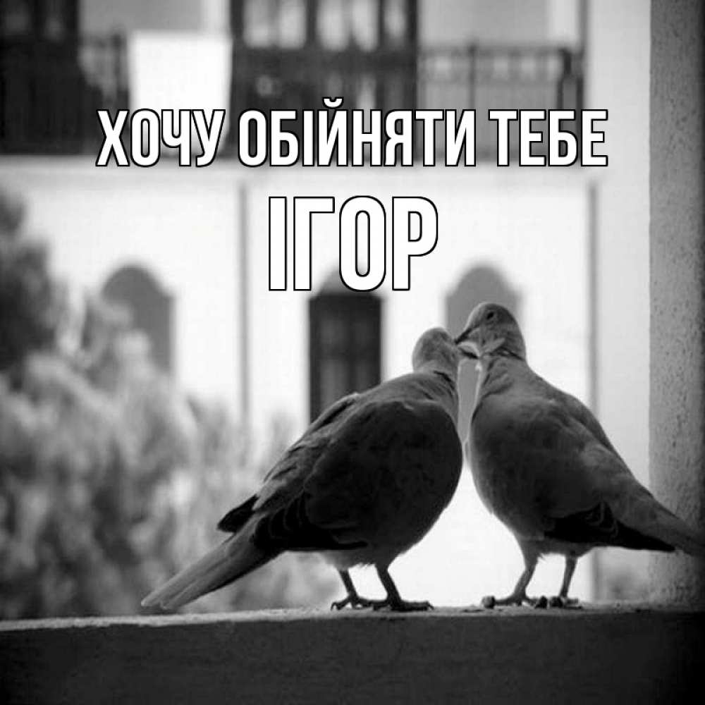 Открытка на каждый день з підписом, Ігор Хочу обійняти тебе птицы на подоконнике Прикольна листівка з побажанням онлайн скачати безкоштовно 