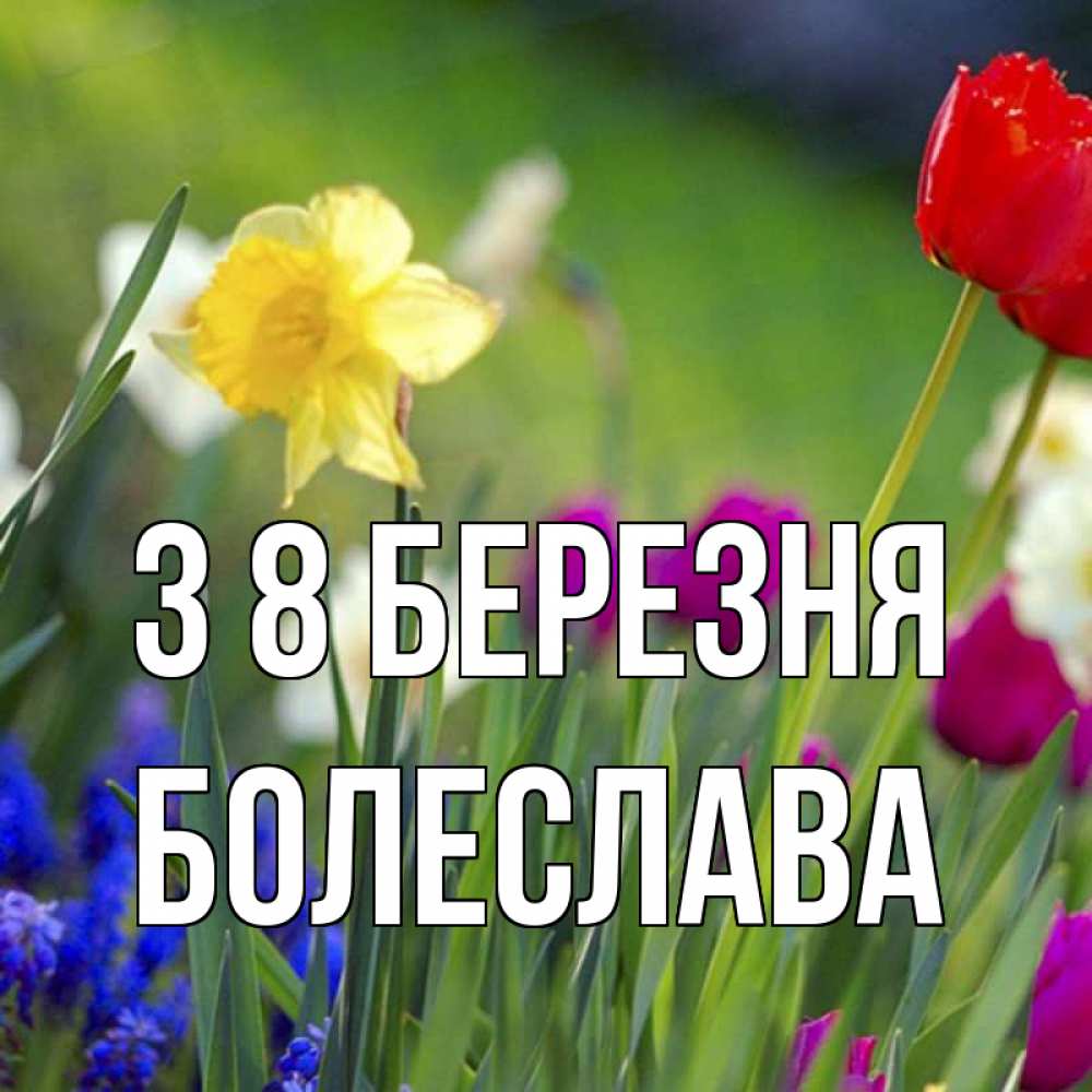 Открытка на каждый день з підписом, Болеслава З 8 БЕРЕЗНЯ международный женский день 3 Прикольна листівка з побажанням онлайн скачати безкоштовно 
