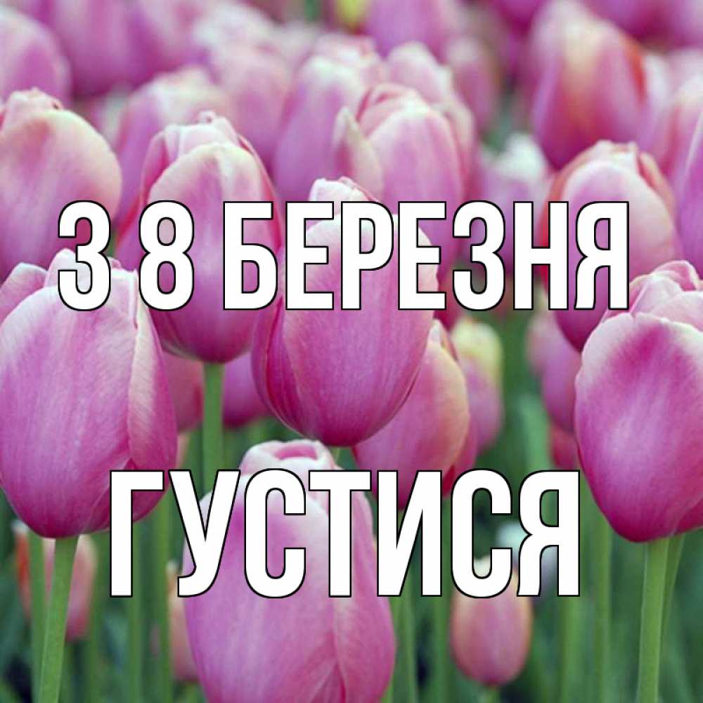 Открытка на каждый день з підписом, Густися З 8 БЕРЕЗНЯ на международный женский день 3 Прикольна листівка з побажанням онлайн скачати безкоштовно 