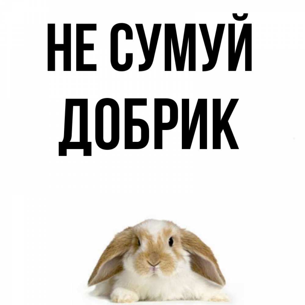 Открытка на каждый день з підписом, Добрик Не сумуй коричнево белый заяц с большими ушками Прикольна листівка з побажанням онлайн скачати безкоштовно 