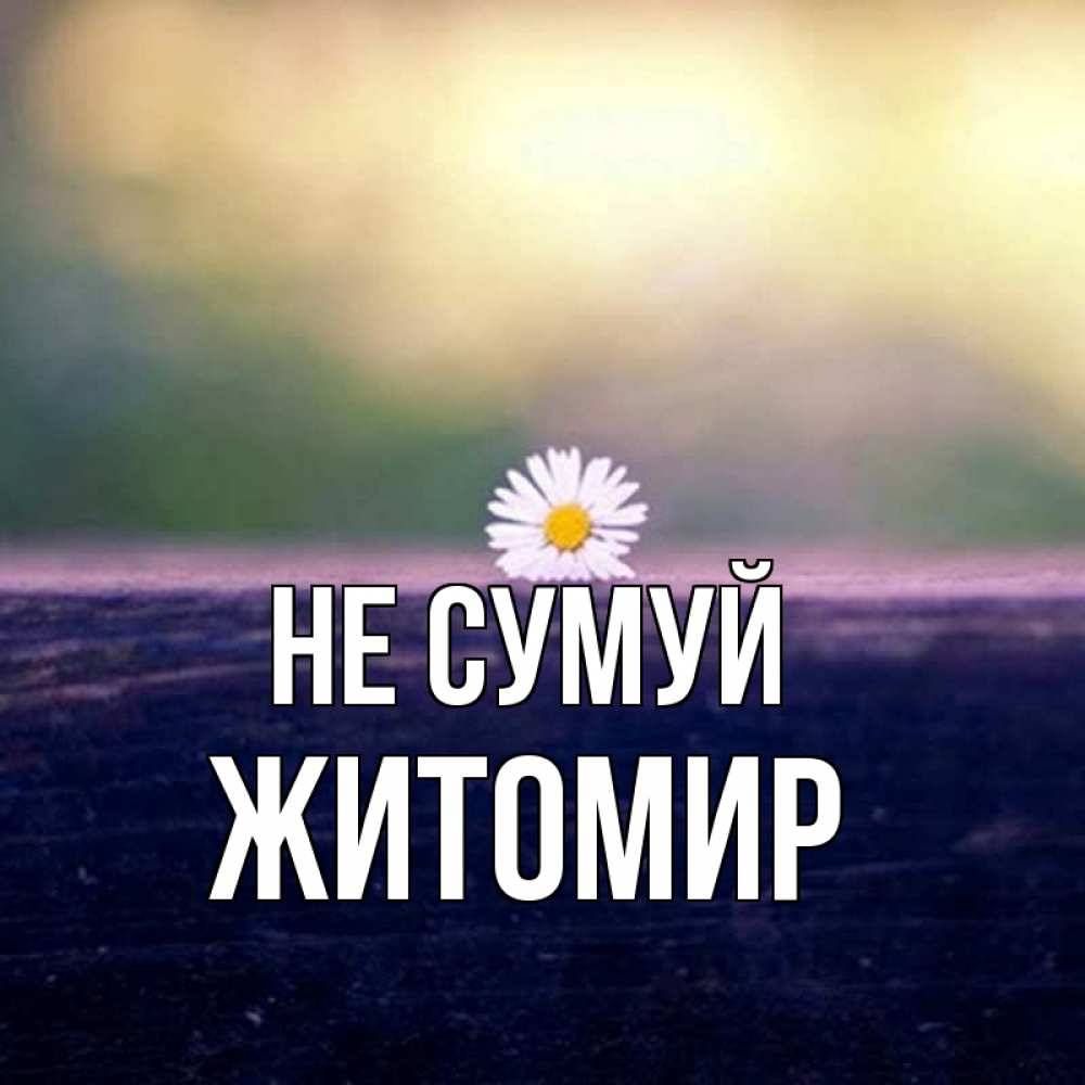 Открытка на каждый день з підписом, Житомир Не сумуй красота Прикольна листівка з побажанням онлайн скачати безкоштовно 