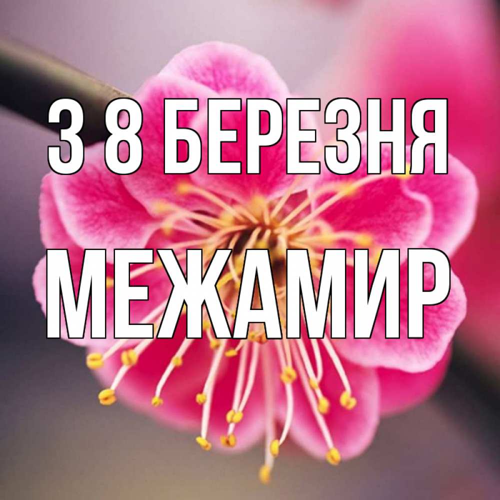 Открытка на каждый день з підписом, Межамир З 8 БЕРЕЗНЯ цветы Прикольна листівка з побажанням онлайн скачати безкоштовно 